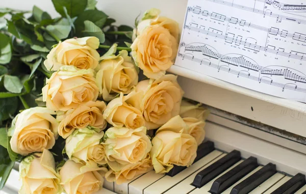 Rosas Melocotón Piano Con Notas — Foto de Stock