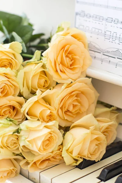 Mawar Persik Piano Dengan Catatan — Stok Foto