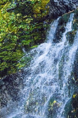 yeşil park sıçramasına güzel şelale