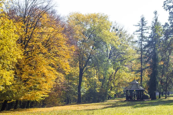 Drzewa Rosnące Słoneczny Jesienny Park — Zdjęcie stockowe