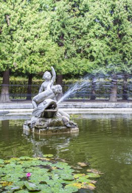 Schnbrunn Sarayı'nın bahçesi. Schnbrunn Park. 
