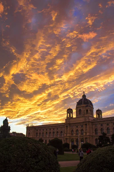 Museum Natural History Maria Theresa Square Vienna — Stock Photo, Image