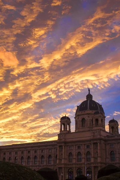 Museum Natural History Maria Theresa Square Vienna — Stock Photo, Image