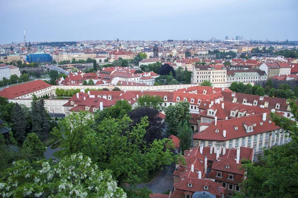Widok Pragi Zamku Hradczanach Panorama Pragi Wieczorem Praga — Zdjęcie stockowe