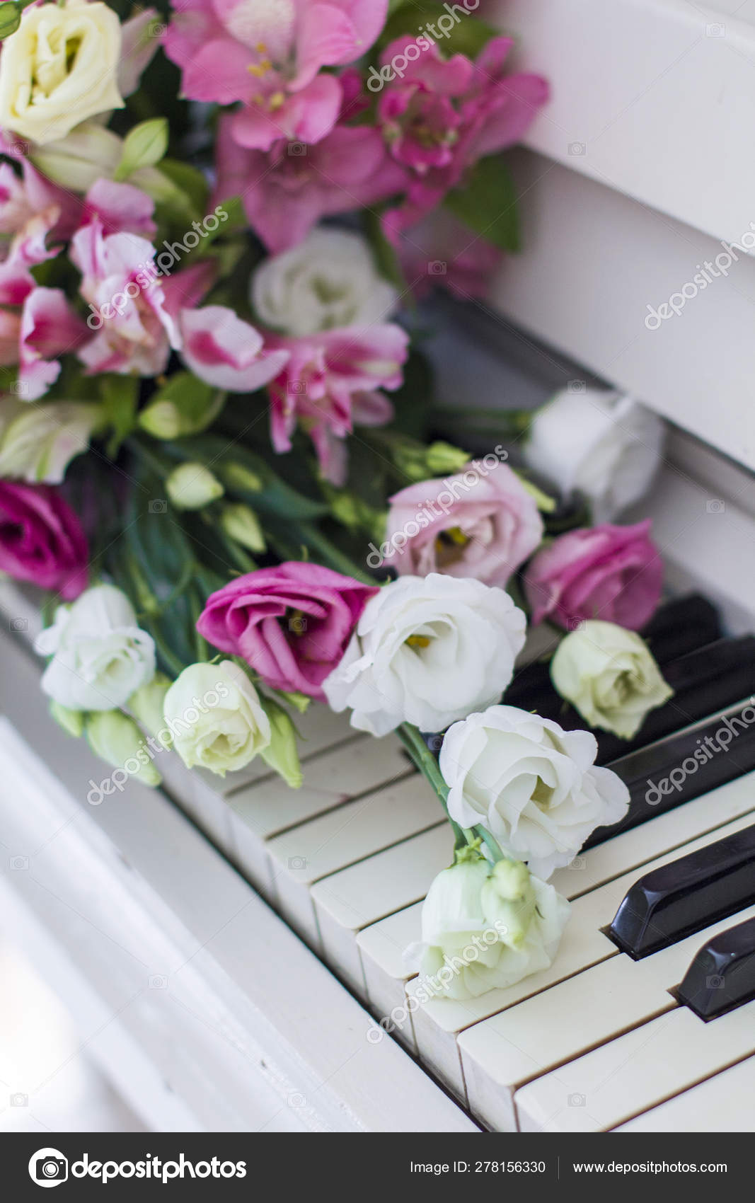 Bouquet Flowers Flower Arrangement Roses Eustomas Alstroemeria Piano Stock Photo Image By C Ppvector Bouquet Flowers Flower Arrangement Roses Eustomas Alstroemeria Piano Stock Photo Image By C Ppvector