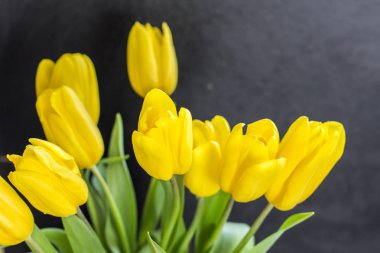 Bir tahta arka plan üzerinde sarı lale bir buket