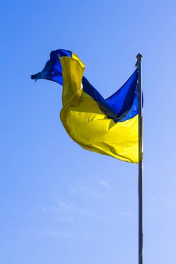 Ukrayna bayrağı rüzgarda koşuşturur