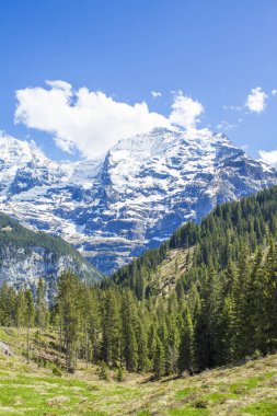 İsviçre Alpleri. Alp dağları. Dağ manzarası. Turist fotoğrafı. Alplerde Bahar