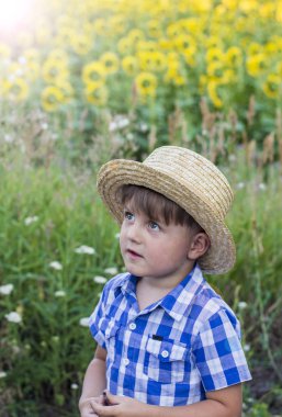 ayçiçeği bir alanda bir şapka çocuk