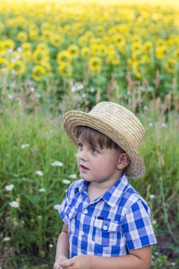 ayçiçeği bir alanda bir şapka çocuk