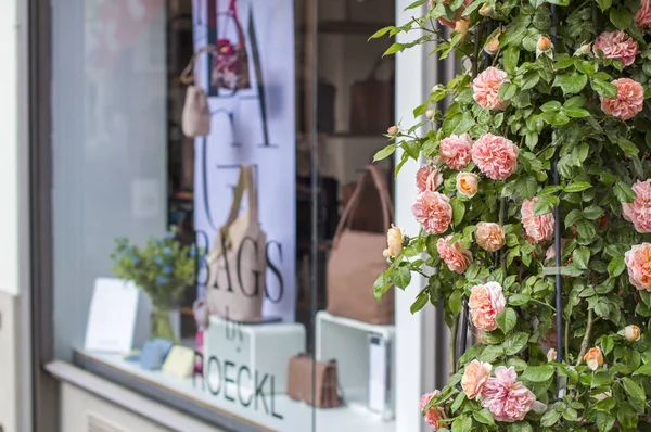 Shop Windows Flowers Zurich Street Photo — Stock Photo, Image