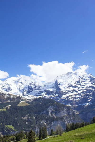 Alpy Szwajcarskie Alpejskie Góry Krajobraz Górski Zdjęcie Turystyczne Wiosna Alpach — Zdjęcie stockowe