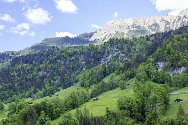 Lauterbrunnen Alpy Szwajcarskie Dolina Wodospadów Wioska Górska — Zdjęcie stockowe