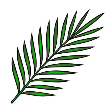 Tek bir palmiye yaprağının canlı bir temsili, koyu yeşil yapraklı parlak kireç renklerine sahip koyu beyaz arka planda..