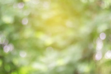 Yeşil Doğal arka plan tasarımı için bulanık.