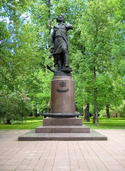 Monument Voor Russische Keizer Peter Grote Boedel Izmailovo Moskou — Stockfoto