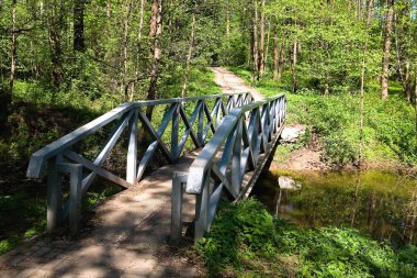 Küçük bir dere üzerinde metal bir köprü. Bahar parkta.
