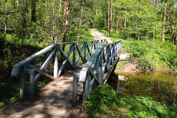 Küçük bir dere üzerinde metal bir köprü. Bahar parkta.