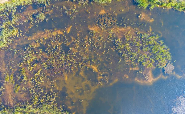 浅透明池塘的顶部视图 空中摄影 — 图库照片
