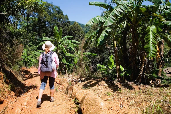 A girl with a backpack walks through the jungle. Travel to Thailand.