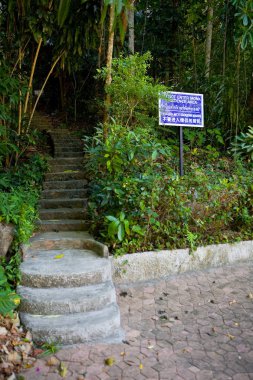 Merdiven Tayland jungle yol açar. Yazıt 