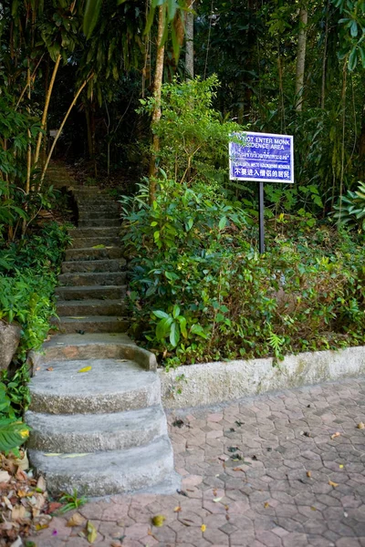 楼梯通向泰国丛林 不进入 修士的地点 在板材 普吉岛 — 图库照片