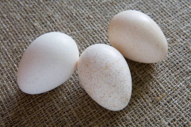 Türkiye'nin üç yumurta dokulu kumaş üzerine yalan. Gıda.