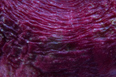 Şeftali yakın çekim meyvesi solma. Hayvan içi ile benzerlik.