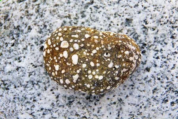 Темный Камень Лежит Светлом Камне Макро — стоковое фото