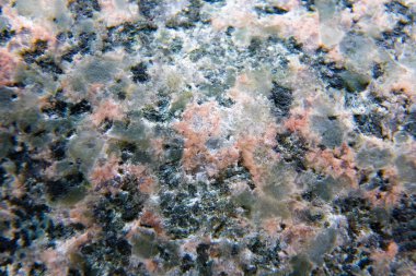 İlginç bir yapı taşı fotoğrafı yakın çekim var. Makro.