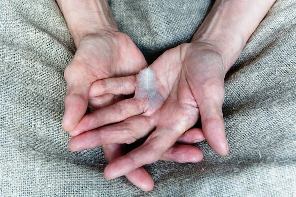 Light Feather Hand Old Woman Part Body — Stock Photo, Image