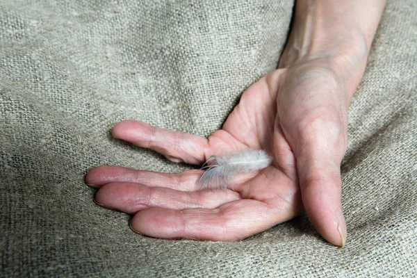 A light feather on the hand of an old woman. Part of the body.