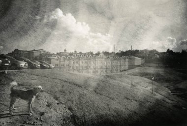 Güzel bir bina arka plan üzerinde köpek. Süresi dolan kağıt üzerinde yapılan bir benzersiz baskı inceden inceye gözden geçirmek. Dikkat! Resmi analog eserler içeren!