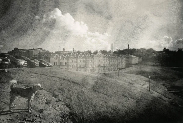 Güzel bir bina arka plan üzerinde köpek. Süresi dolan kağıt üzerinde yapılan bir benzersiz baskı inceden inceye gözden geçirmek. Dikkat! Resmi analog eserler içeren!