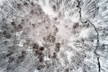 Hangi yalanlar kar ağaçta ile bir parkın içinden kışın nehir akar. Hava fotoğrafçılığı