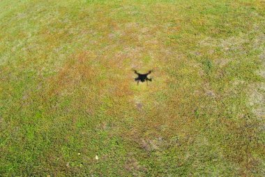 Gölge bir yerde uçan bir dronun çim kaplı. Hava fotoğrafçılığı.