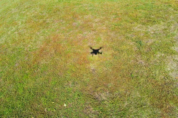 Schatten Einer Fliegenden Drohne Auf Einem Mit Gras Bedeckten Boden — Stockfoto