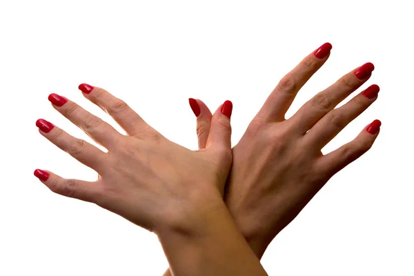 Prachtige Vrouwelijke Handen Met Een Rode Manicure Close Witte Achtergrond — Stockfoto