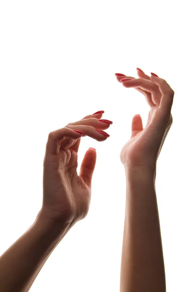 Mãos Femininas Elegantes Com Uma Bela Manicura Fechar Fundo Branco — Fotografia de Stock