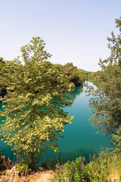 Árbol Fondo Del Agua Hermoso Color Naturaleza — Foto de Stock