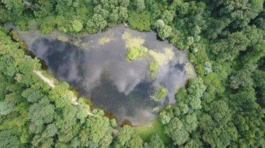 Üstten görünüm bir güzel orman Gölü. Hava video çekim.
