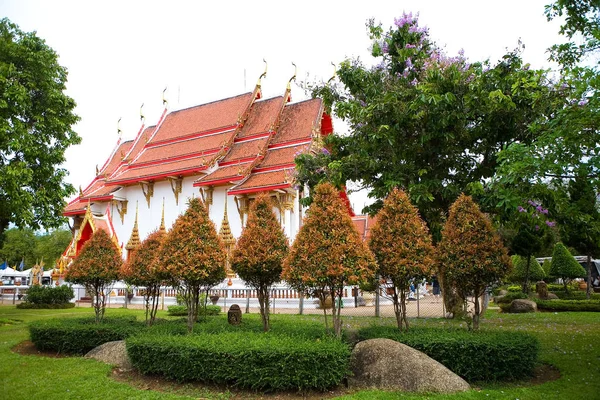 Vackra träd växer mot bakgrund av ett buddhistiskt tempel. — Stockfoto