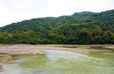 Arka planda dağ nehri ve orman.
