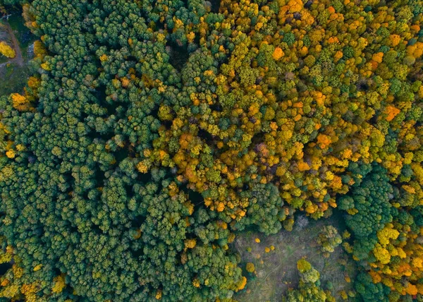 Осіння природа Центральної Русі з висоти. — стокове фото