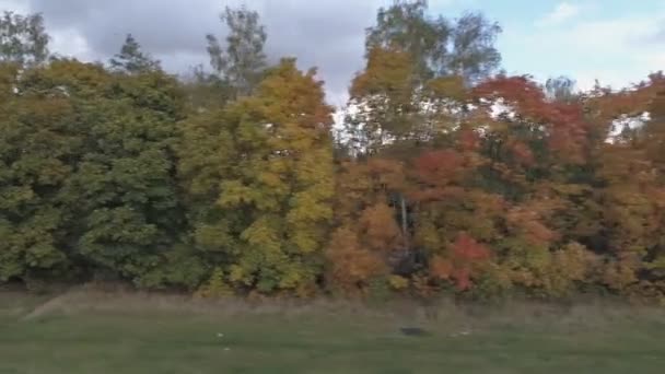 Draufsicht Auf Die Landschaft Zentralrusslands Mit Bäumen Die Mit Herbstlaub — Stockvideo
