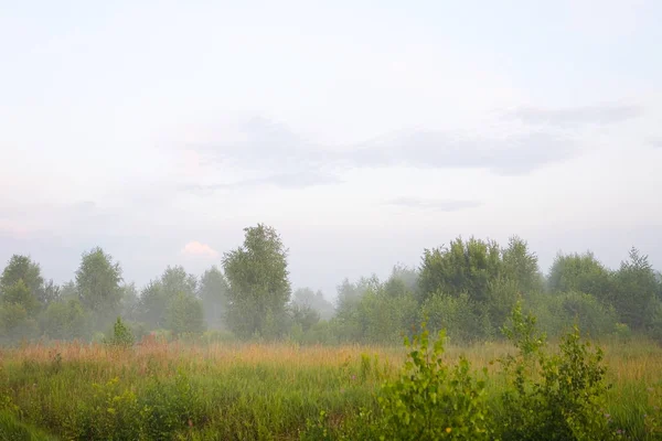 夕方霧の中の中央ロシアの自然. — ストック写真