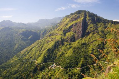 Dolambaçlı bir dağ yolunun en üst manzarası. Sri Lanka.