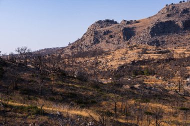 Kayalık eteklerin çorak topraklarında kavrulmuş bitkilerle kayalık çöl manzarası.