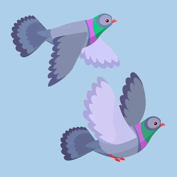 Illustration vectorielle de deux pigeons volant — Image vectorielle