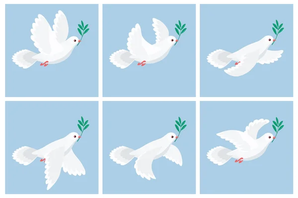 Ilustracja latający biały gołąb gospodarstwa gałęzi oliwnych animacji arkusza kształtów — Wektor stockowy